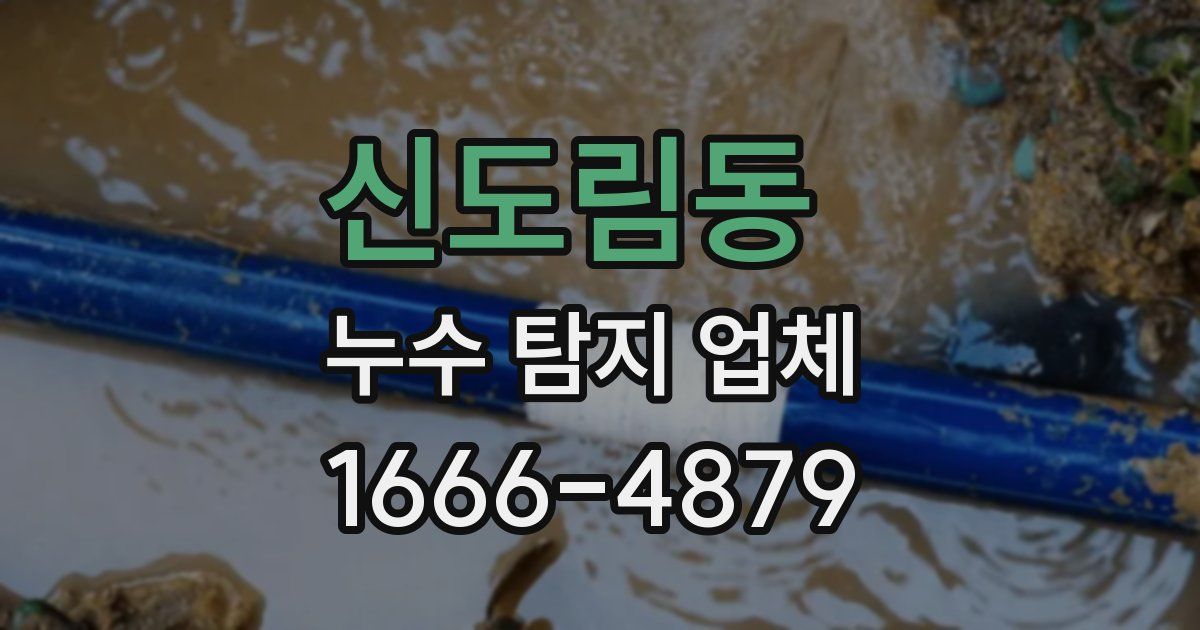 신도림동 누수 탐지 업체