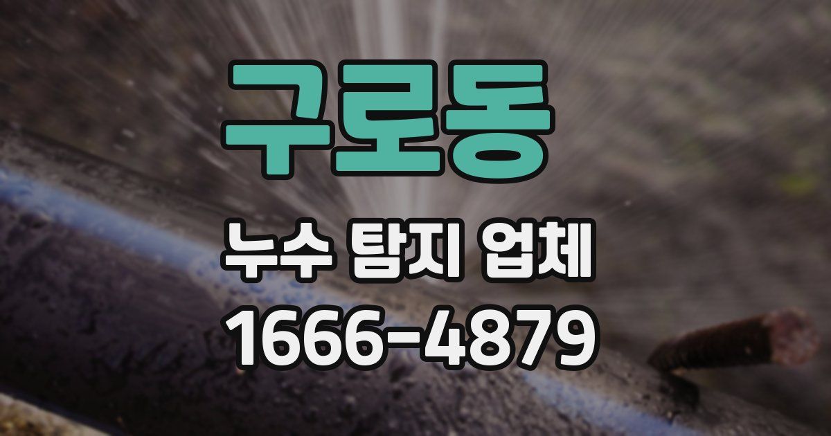 구로동 누수 탐지 업체
