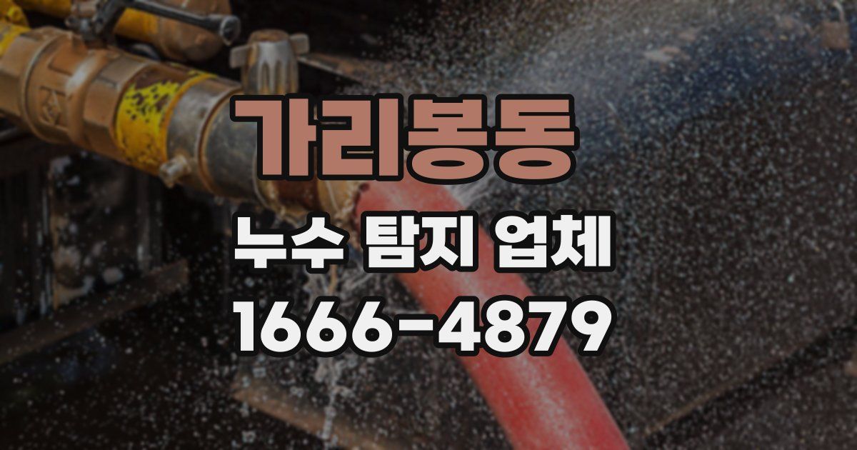 가리봉동 누수 탐지 업체