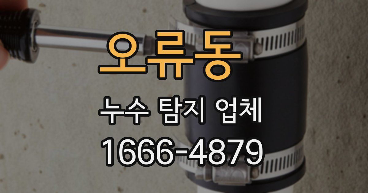 오류동 누수 탐지 업체