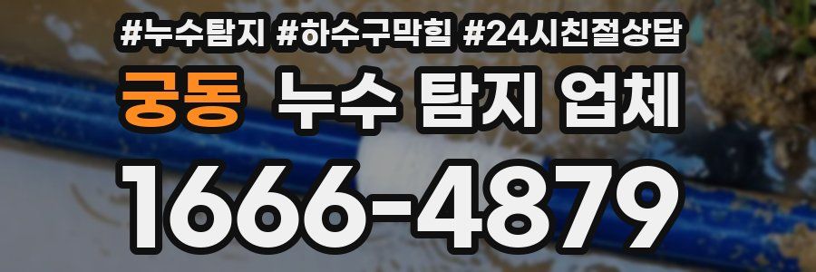 궁동 누수 탐지 업체