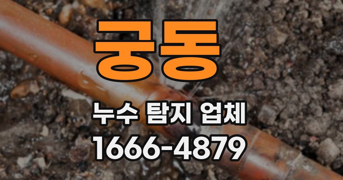 궁동 누수 탐지 업체