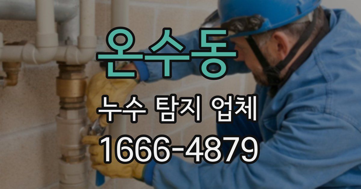 온수동 누수 탐지 업체