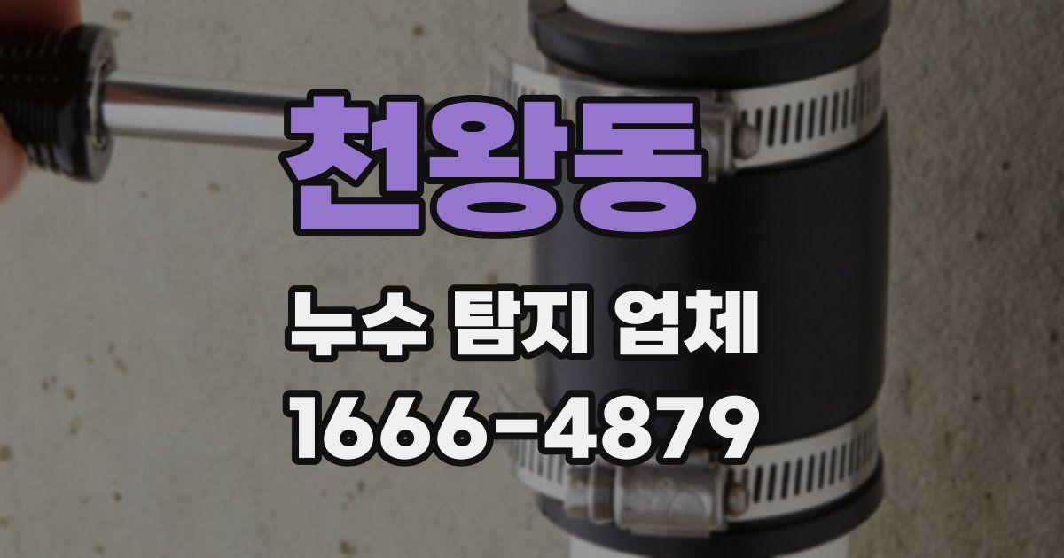 천왕동 누수 탐지 업체