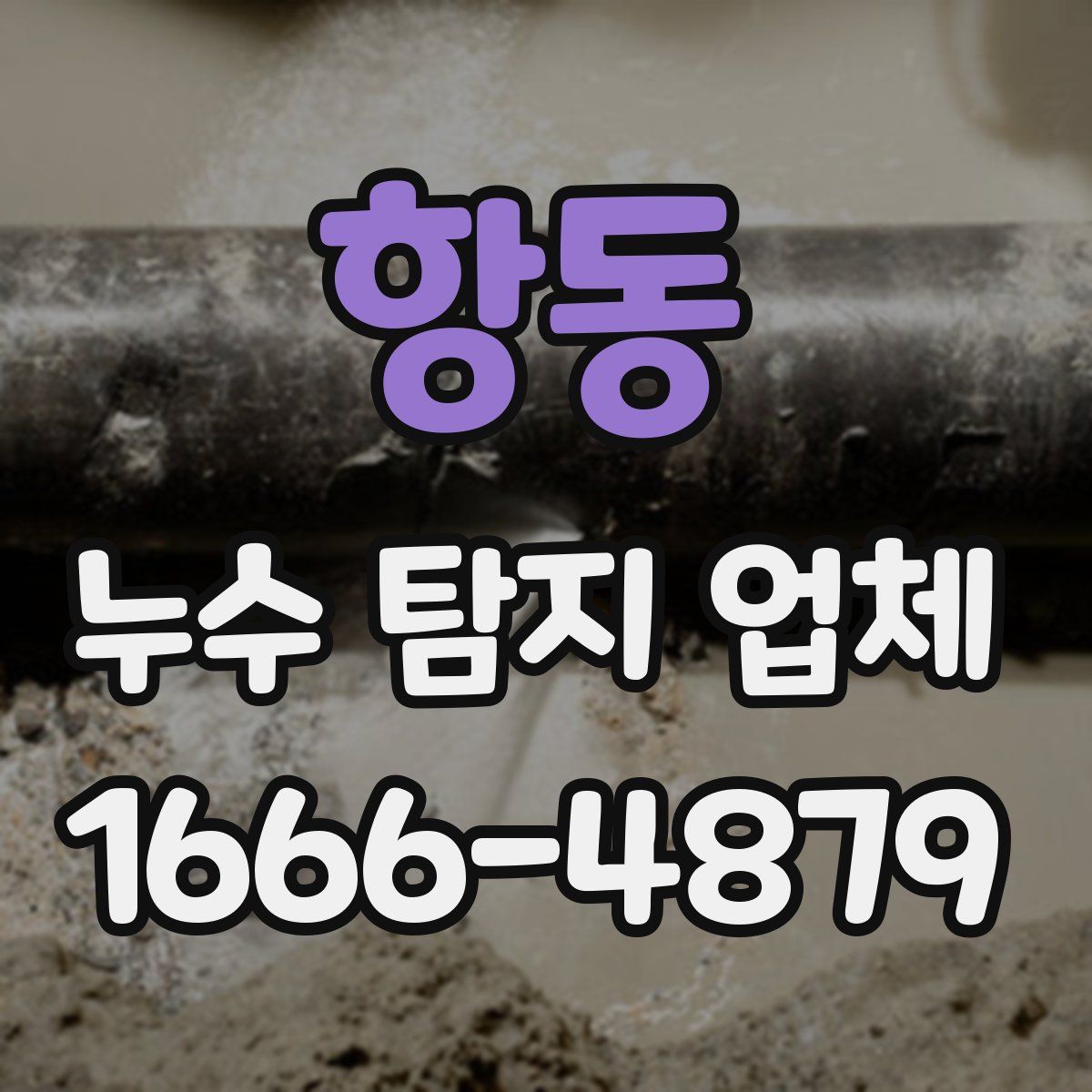 항동 누수 탐지 업체