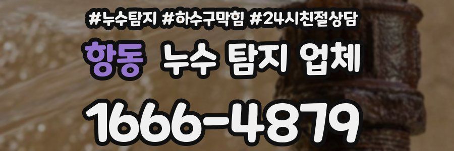 항동 누수 탐지 업체