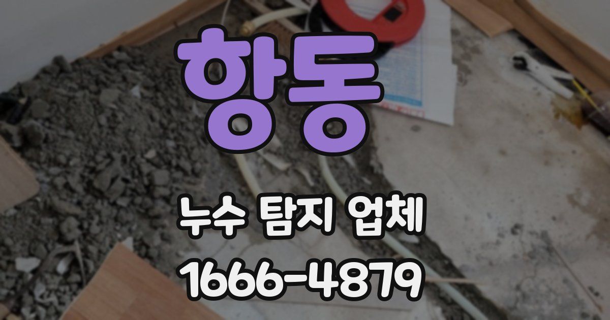항동 누수 탐지 업체