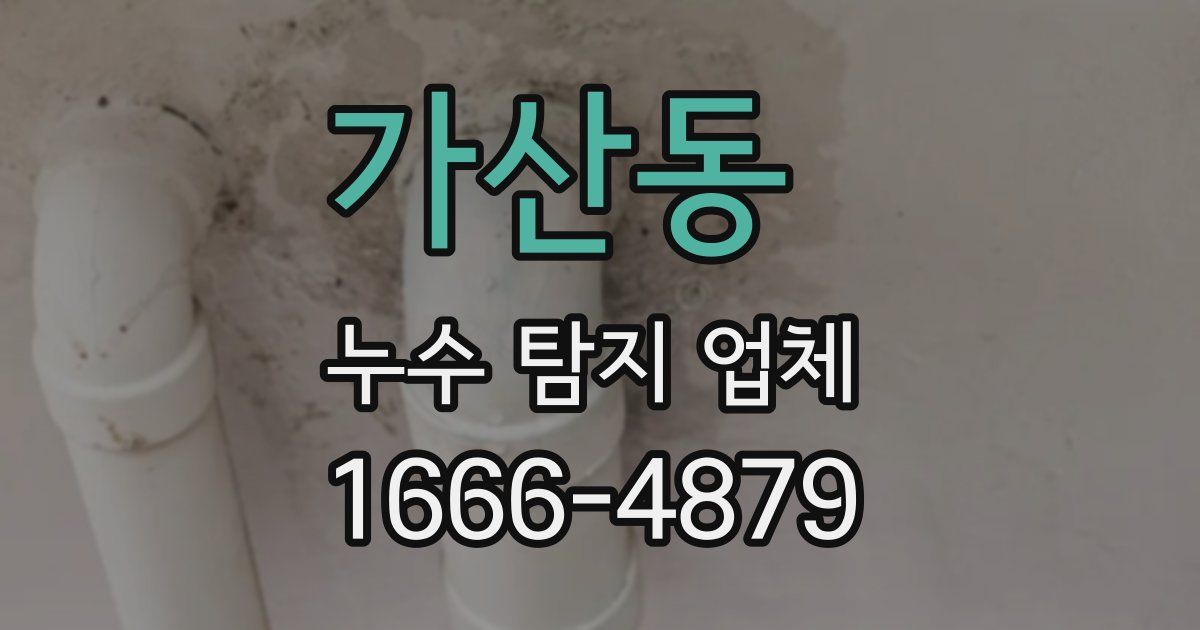 가산동 누수 탐지 업체
