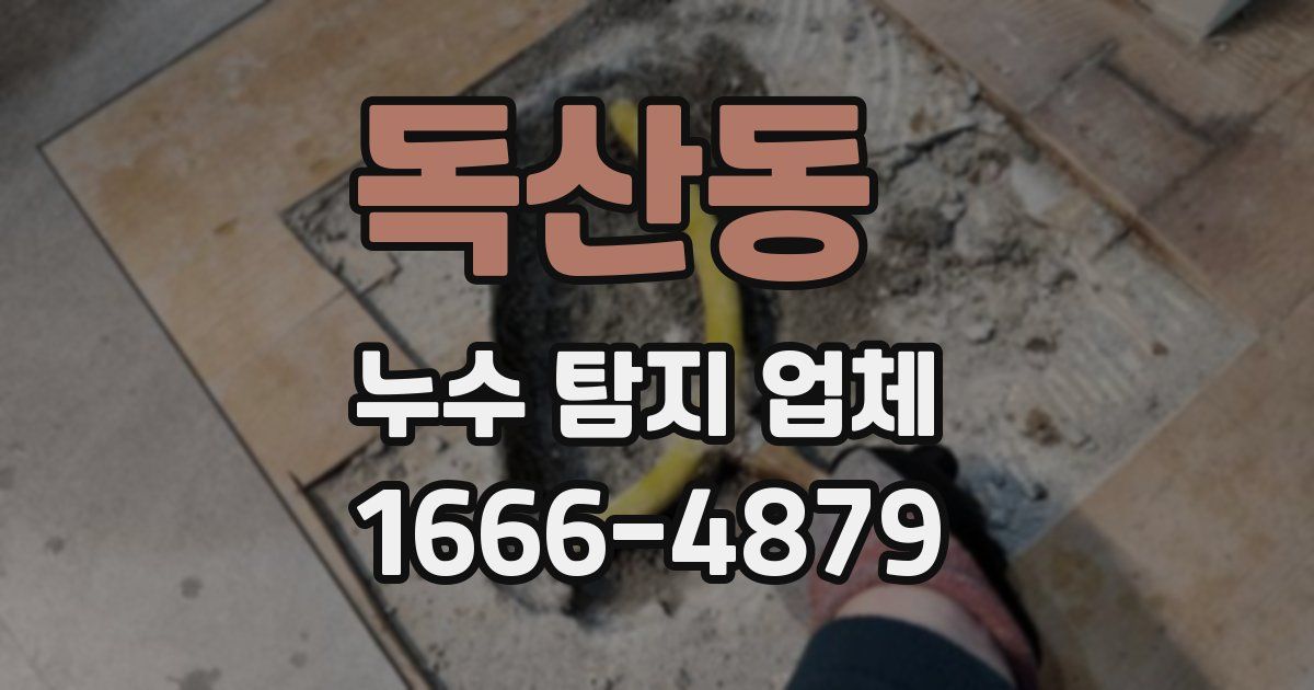 독산동 누수 탐지 업체