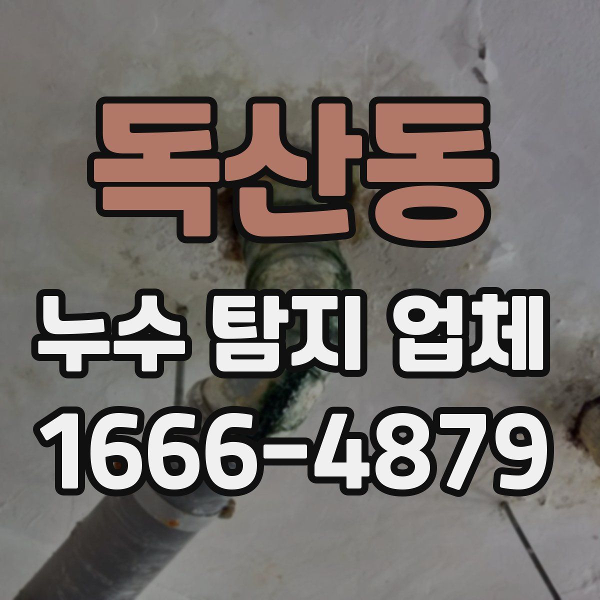 독산동 누수 탐지 업체