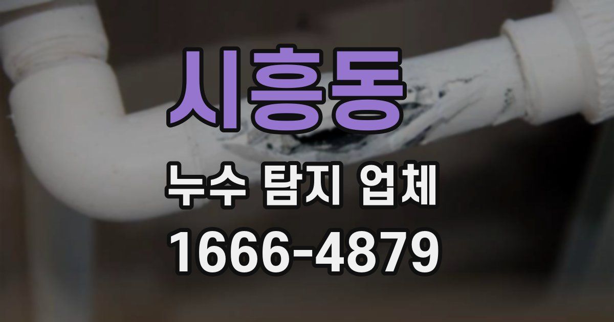 시흥동 누수 탐지 업체