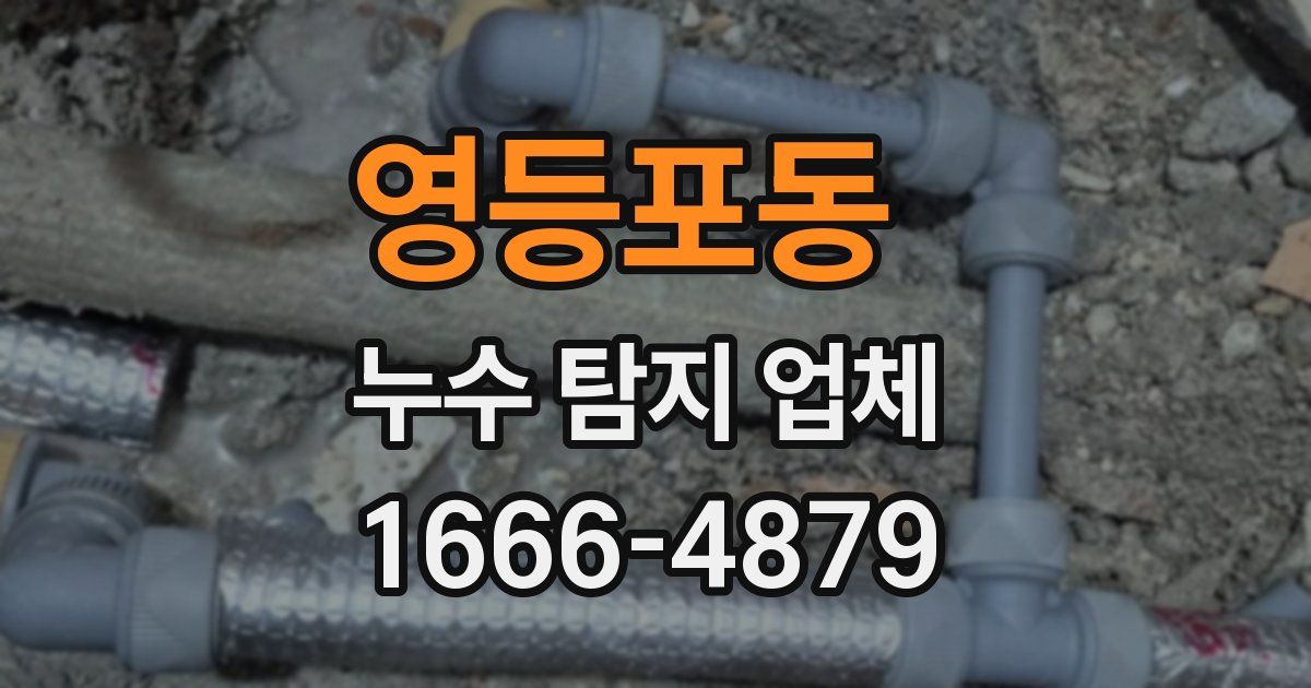 영등포동 누수 탐지 업체