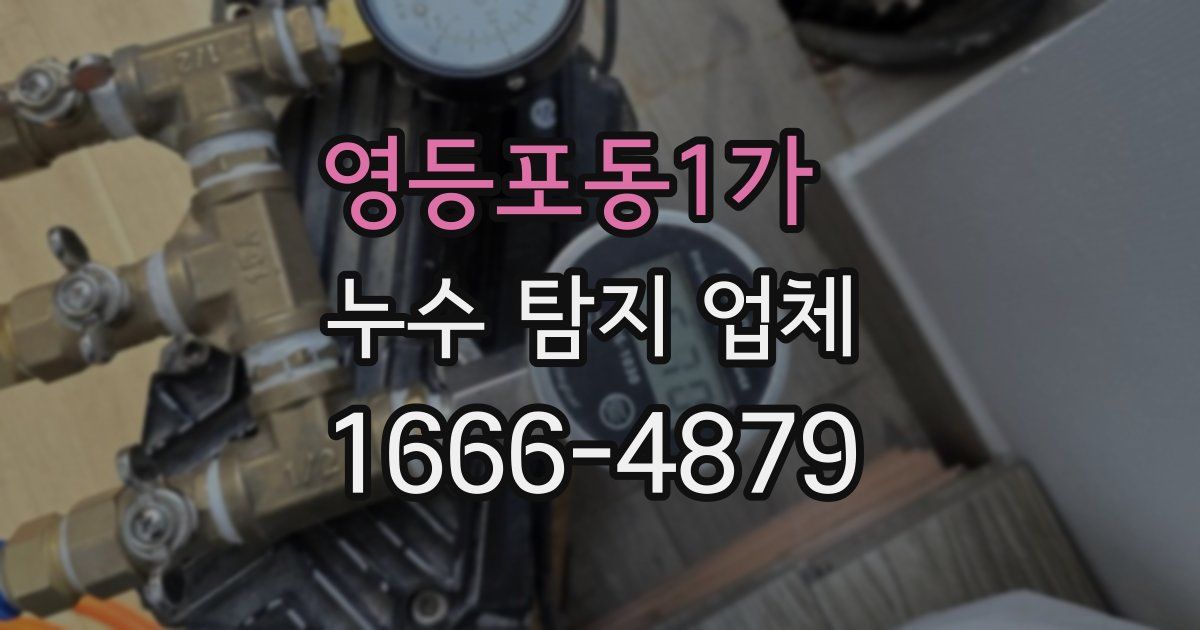 영등포동1가 누수 탐지 업체