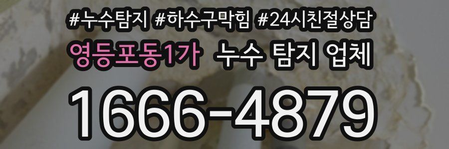 영등포동1가 누수 탐지 업체