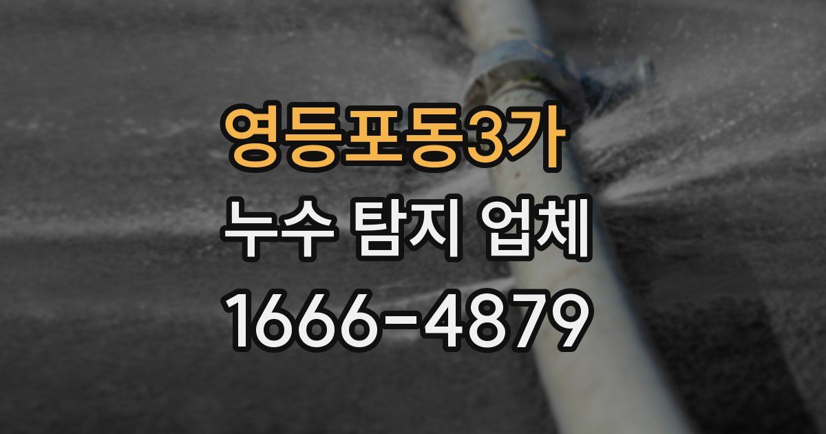 영등포동3가 누수 탐지 업체