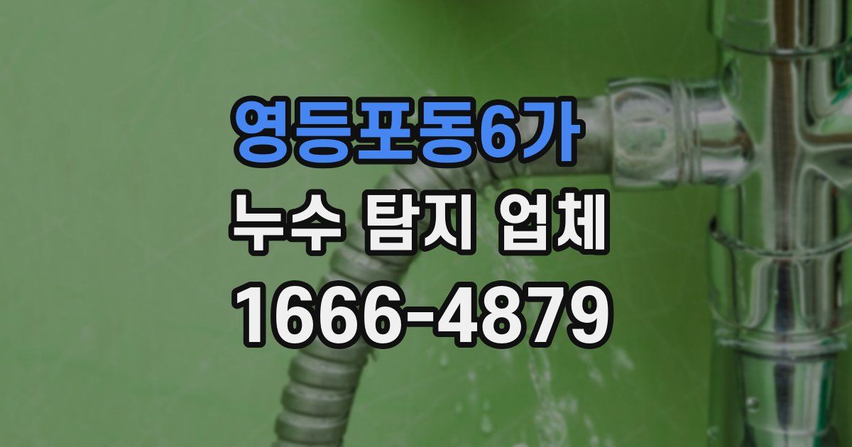 영등포동6가 누수 탐지 업체