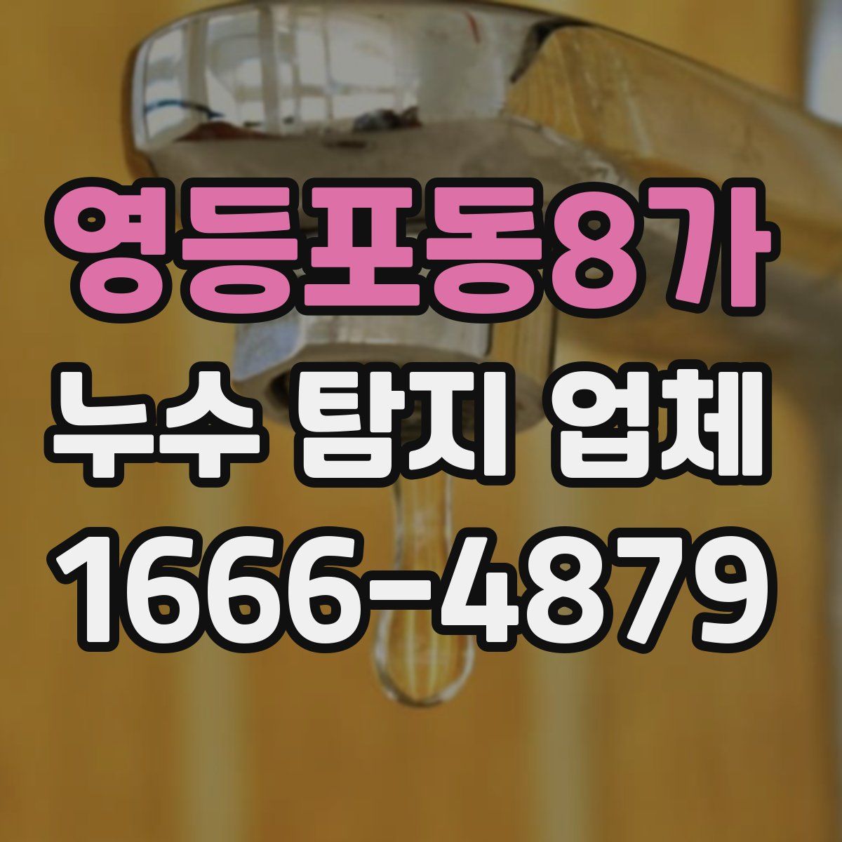 영등포동8가 누수 탐지 업체