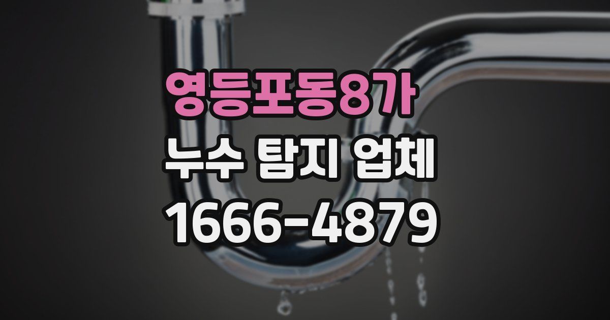 영등포동8가 누수 탐지 업체