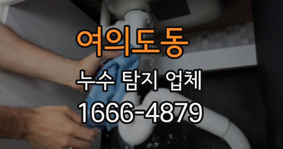 여의도동 누수 탐지 업체