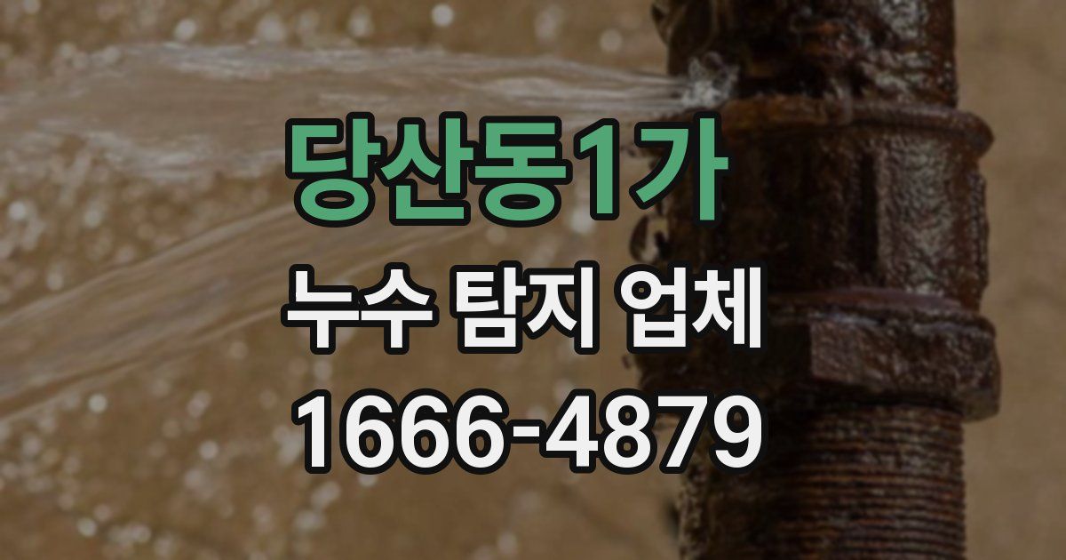 당산동1가 누수 탐지 업체