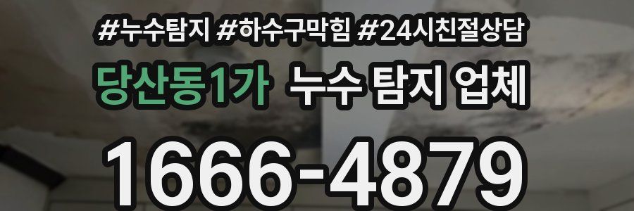 당산동1가 누수 탐지 업체