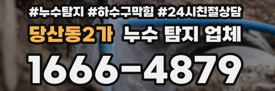 당산동2가 누수 탐지 업체