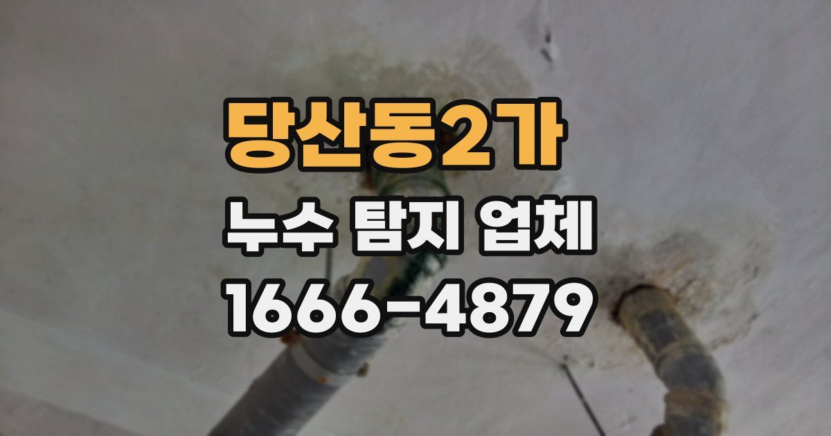 당산동2가 누수 탐지 업체