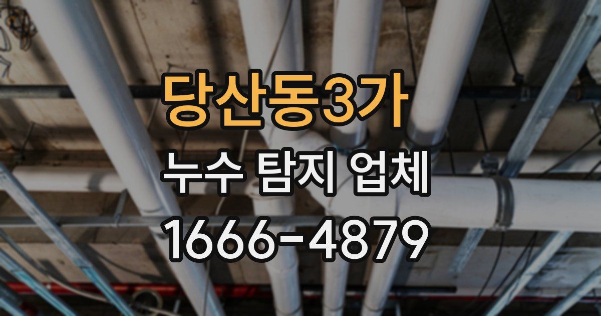 당산동3가 누수 탐지 업체