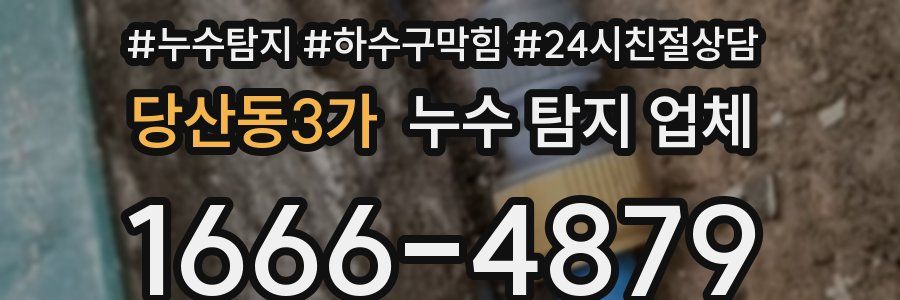 당산동3가 누수 탐지 업체