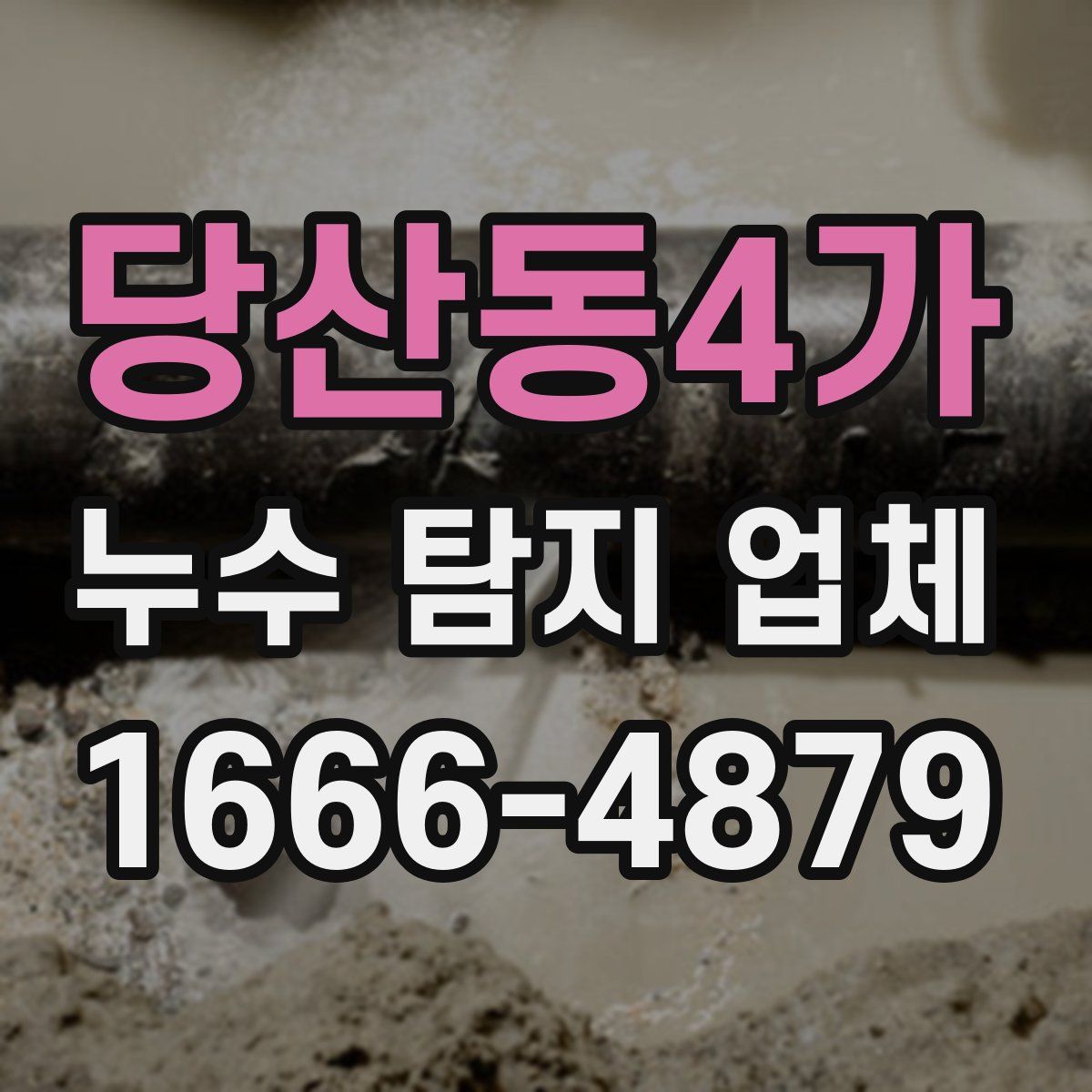 당산동4가 누수 탐지 업체