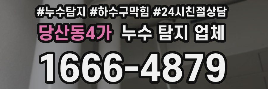 당산동4가 누수 탐지 업체