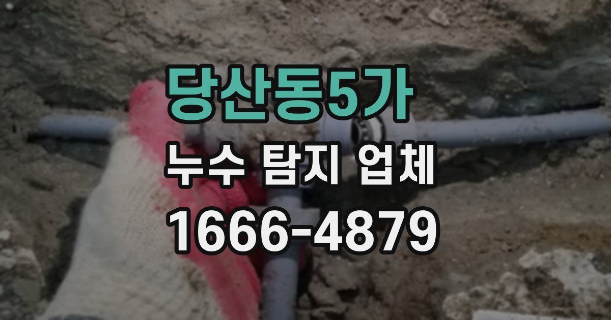 당산동5가 누수 탐지 업체