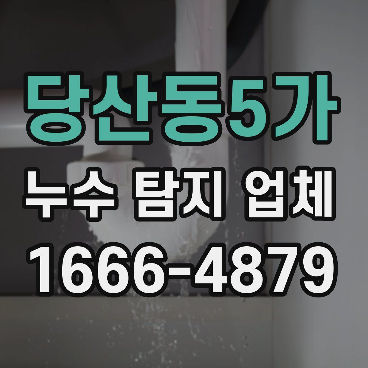 당산동5가 누수 탐지 업체