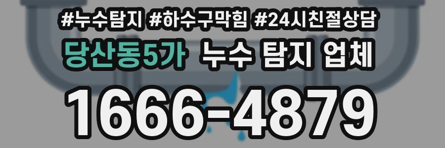 당산동5가 누수 탐지 업체
