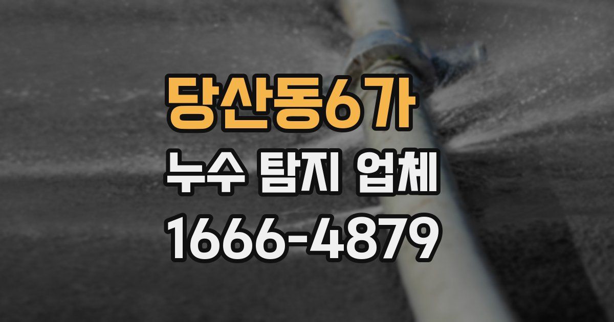 당산동6가 누수 탐지 업체