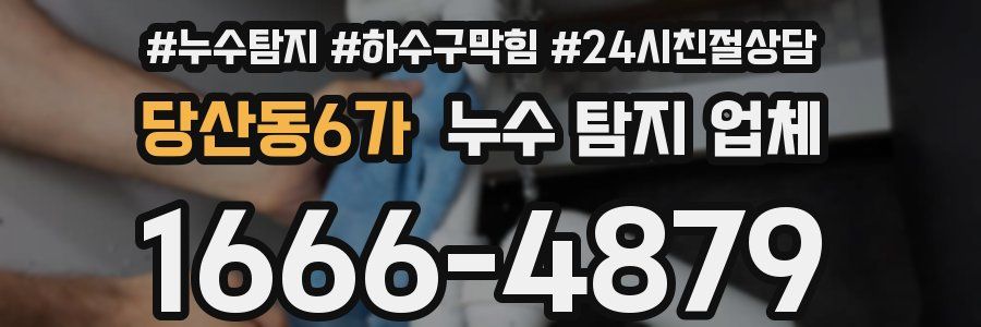 당산동6가 누수 탐지 업체