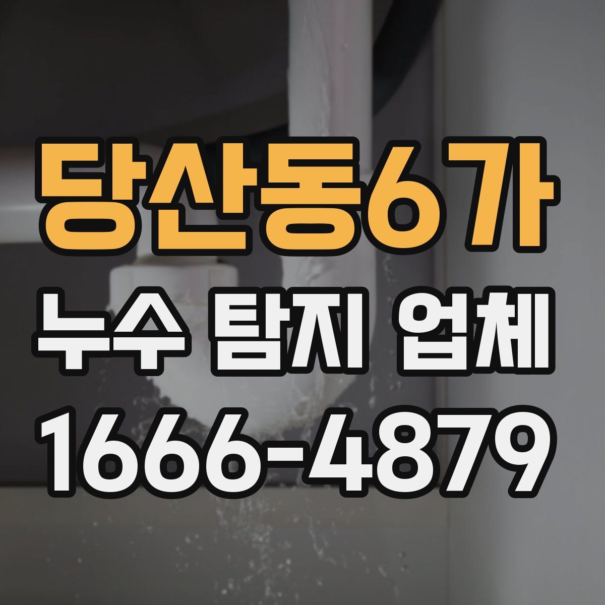 당산동6가 누수 탐지 업체