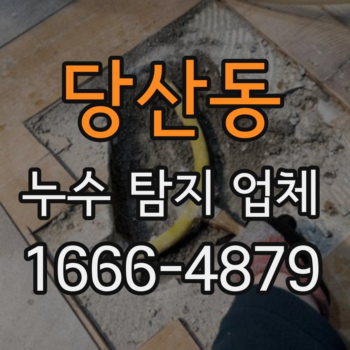 당산동 누수 탐지 업체