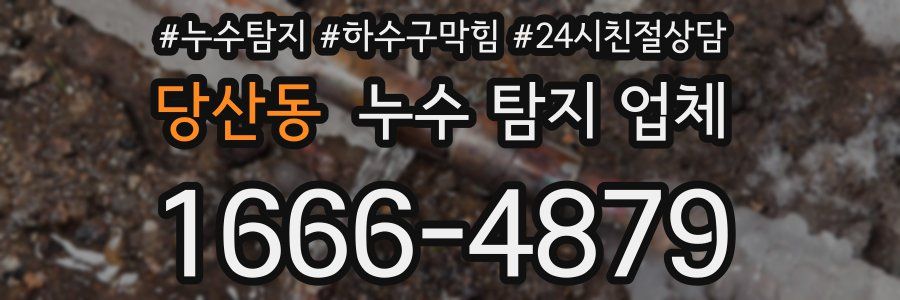 당산동 누수 탐지 업체