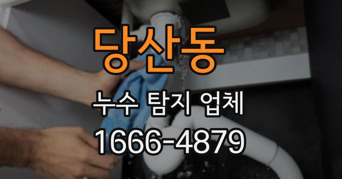 당산동 누수 탐지 업체