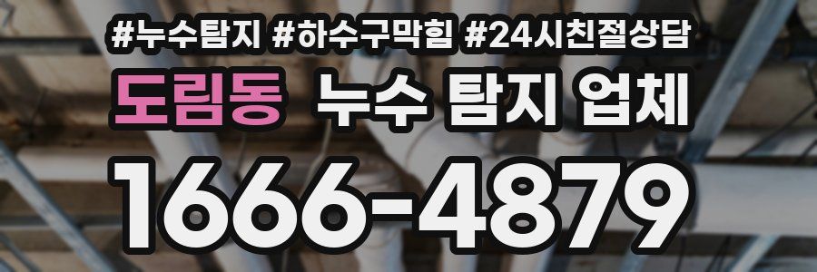 도림동 누수 탐지 업체