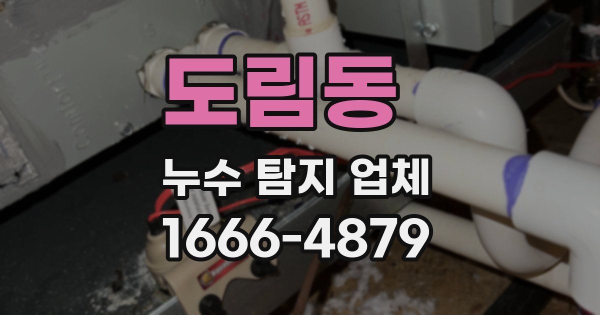 도림동 누수 탐지 업체