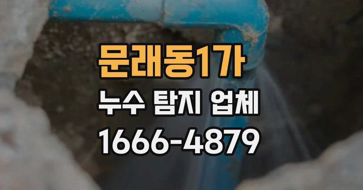 문래동1가 누수 탐지 업체