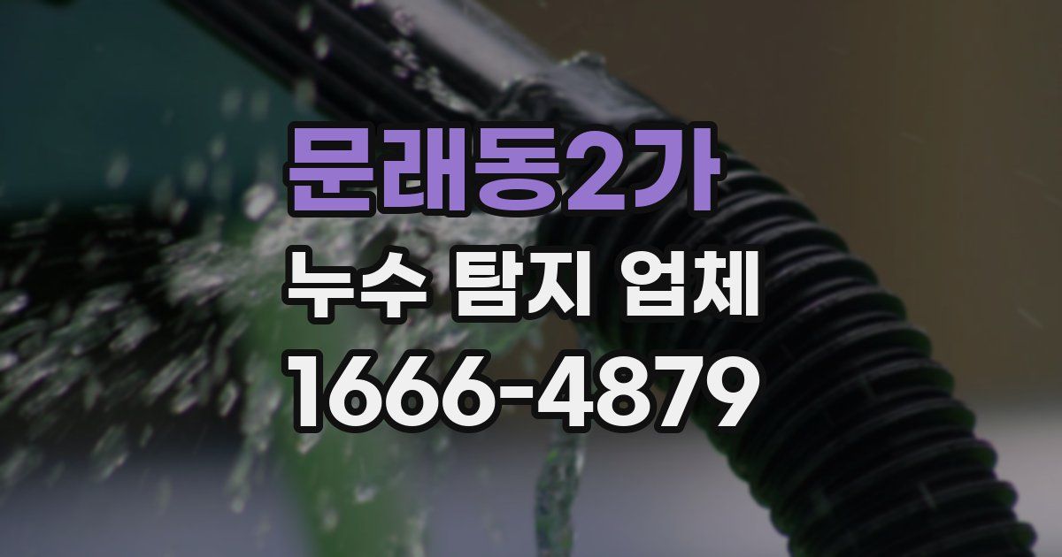 문래동2가 누수 탐지 업체