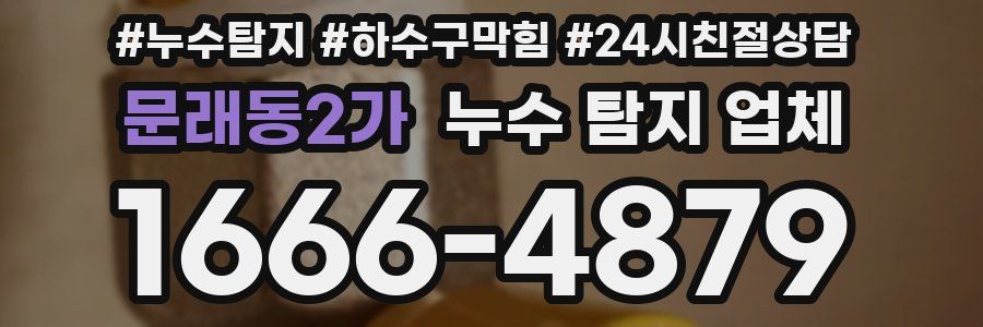 문래동2가 누수 탐지 업체