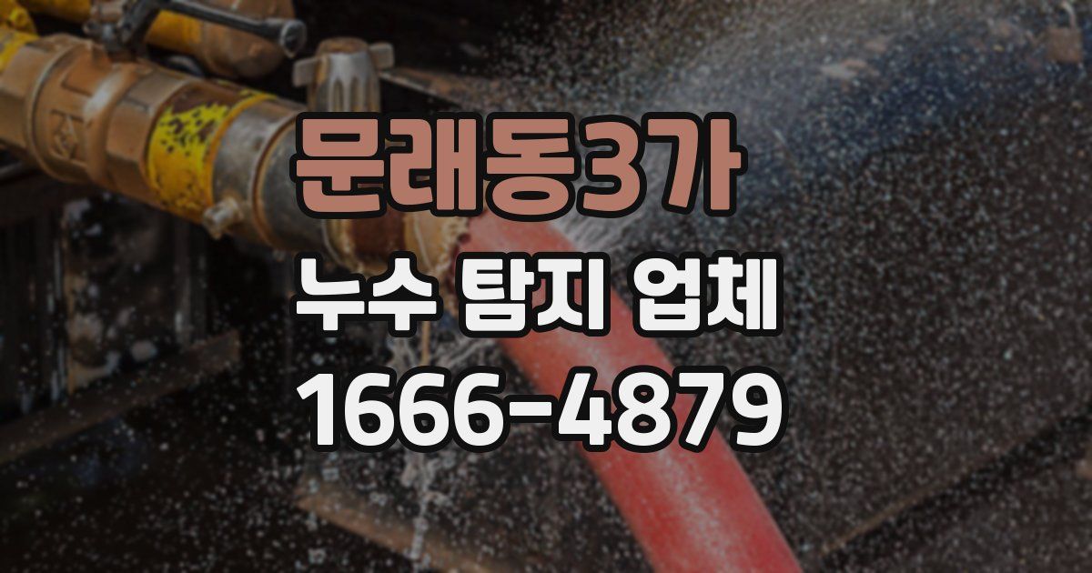 문래동3가 누수 탐지 업체