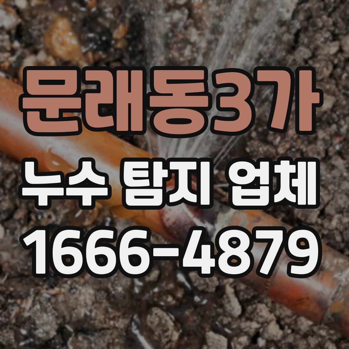 문래동3가 누수 탐지 업체