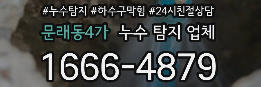 문래동4가 누수 탐지 업체