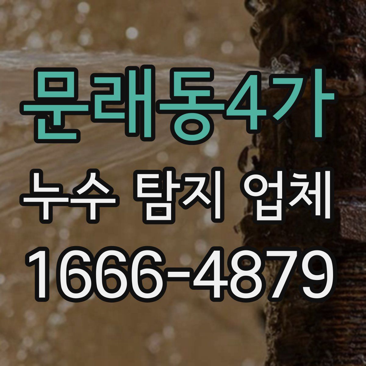문래동4가 누수 탐지 업체