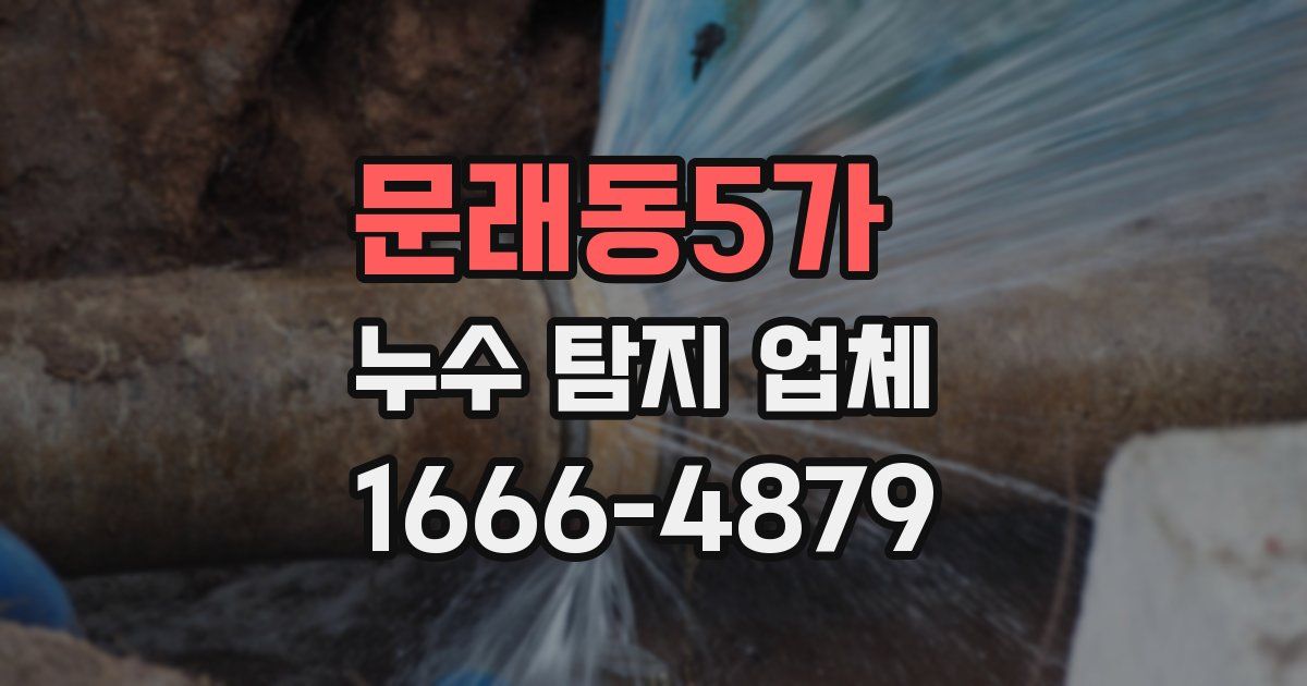 문래동5가 누수 탐지 업체